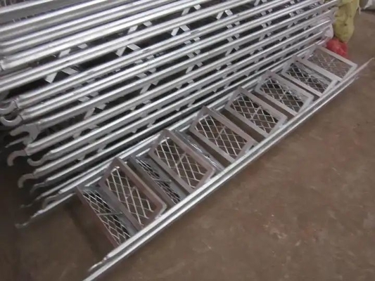 Silver Scaffolding Climbing Ladders Engineered for Performance